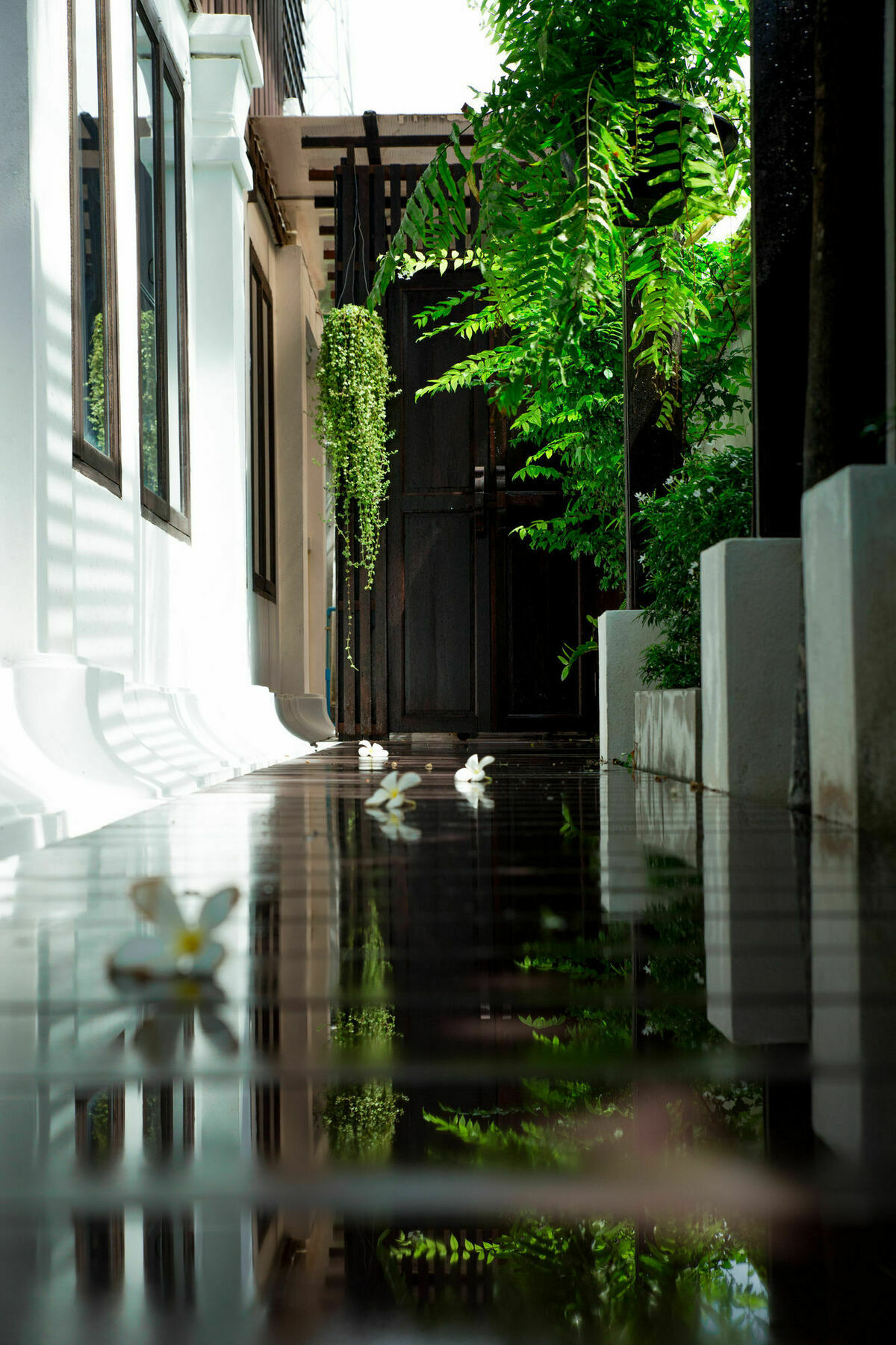 Rachamankha Thai Villa Chiang Mai Eksteriør billede